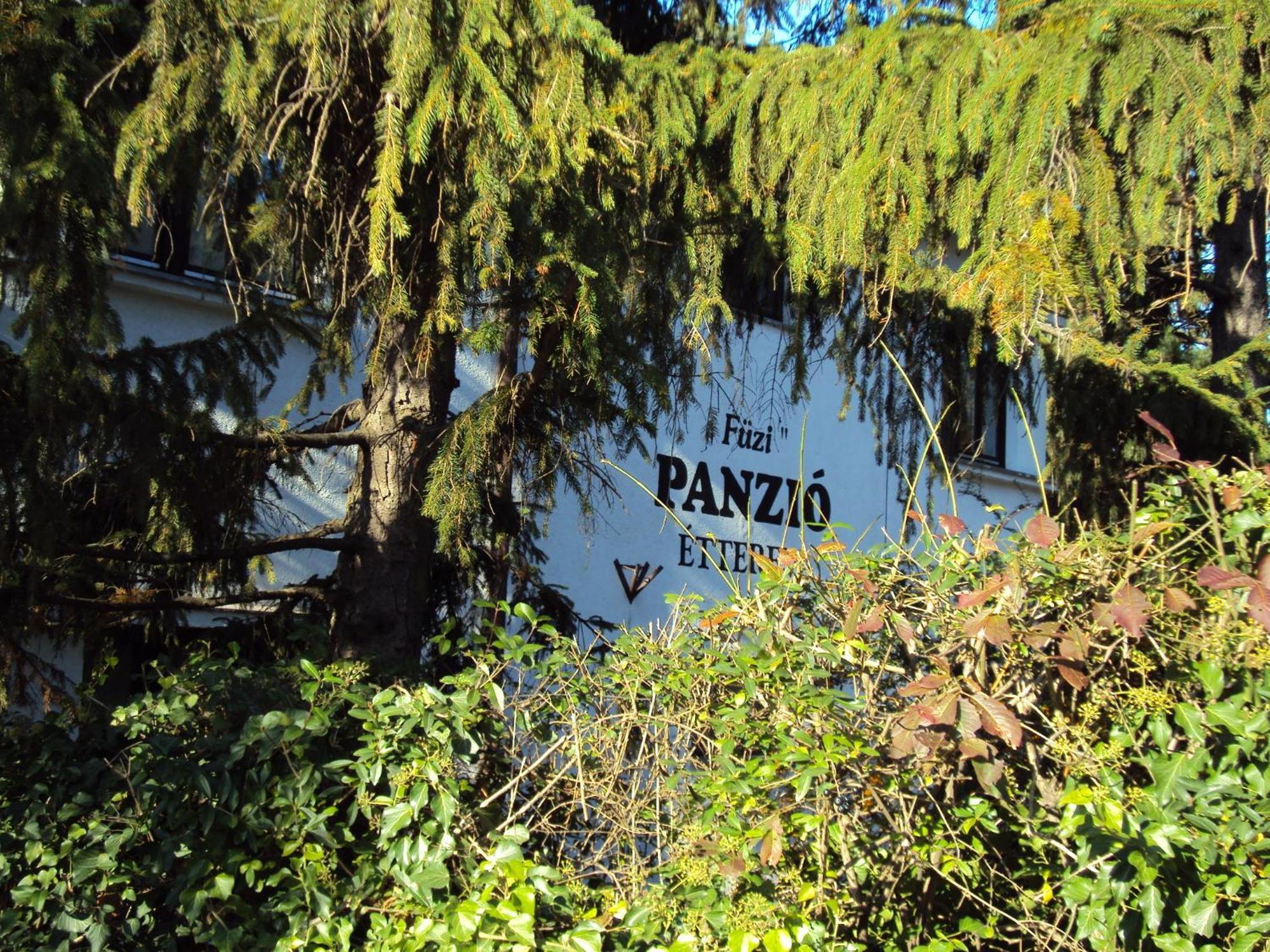 Bed and Breakfast Fuezi Panzio Šoproň Exteriér fotografie